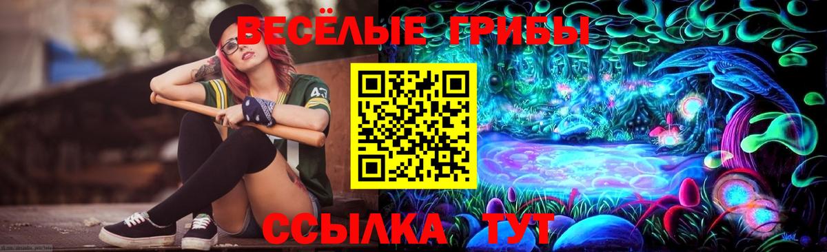 цены   Псилоцибиновые грибы Psilocybe  Вход с VPN  Красноярск  Псилоцибиновые грибы GOLDEN TEACHER 